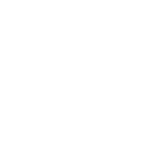 spie wit